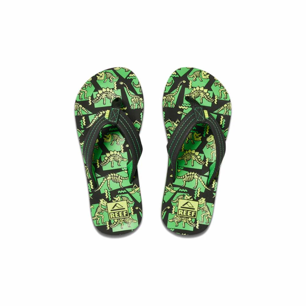 Reef Kids KIDS AHI GLOW DINOSAURS - Image 3