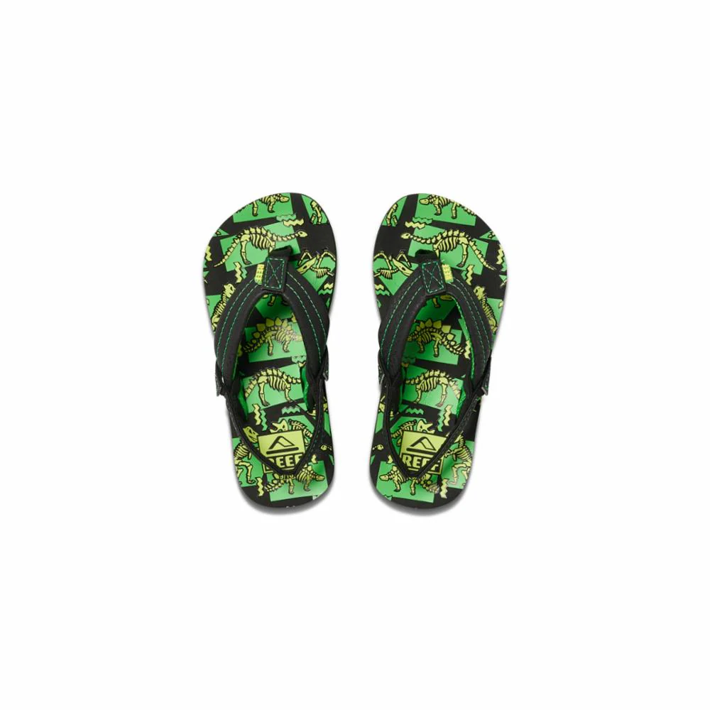 Reef Kids LITTLE AHI GLOW DINOSAURS - Image 3